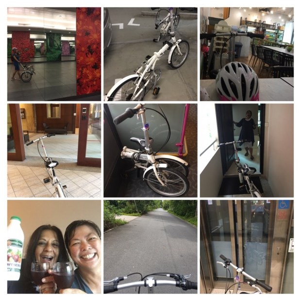 e841a3c8-fa79-409d-9257-d9b0bf7bb1b3-collage